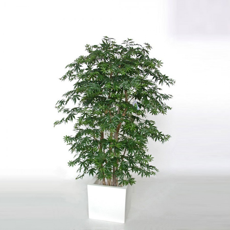 Planta semi-artificiala Ila, Maple Boschetto Green - 180 cm